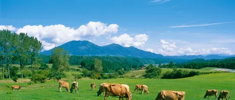 蒜山高原